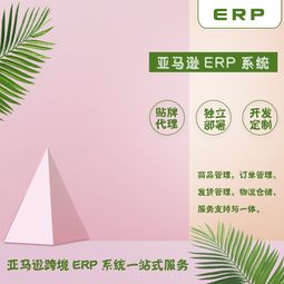 亞馬遜erp出售及一站式服務(wù)從零到基礎(chǔ)一對一指導